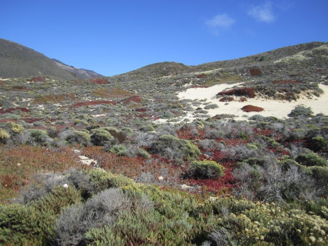 IMG_1206.JPG